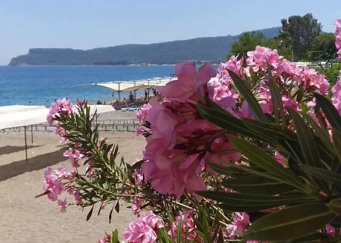 Ugur Hotel Kemer