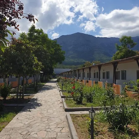 Ugur Kemer