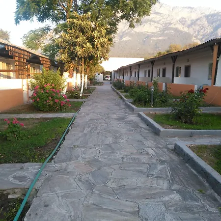 Ugur Kemer